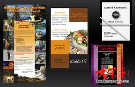 Deanna Fusco平面設(shè)計(jì)理念與重慶家裝設(shè)計(jì)師培訓(xùn)價(jià)值探析